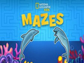 Spiel Nat Geo Kinderlabyrinthe  Online