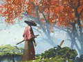 Spiel Samurai-Reflexion  Online