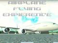 Spiel Flugzeugflugerfahrung  Online