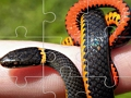 Spiel Schlangen-Puzzle  Online