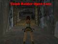 Spiel Tomb Raider Öffne Lara  Online