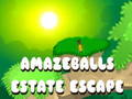 Spiel Flucht aus dem Amazeballs Estate  Online