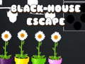 Spiel Flucht aus dem schwarzen Haus  Online