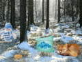 Spiel Waldabenteuer im Winterwunderland  Online