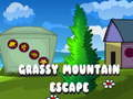 Spiel Grasige Bergflucht  Online