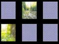 Spiel Erinnerung an die Natur  Online