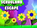 Spiel Flucht aus dem Buschland  Online