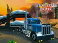 Spiel 18 Wheeler-Fahrsimulation  Online