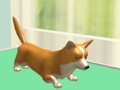 Spiel Tierpflege  Online