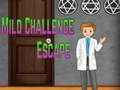 Spiel Amgel Mild Challenge Flucht Online