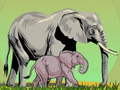 Spiel Wilde Tiere und ihre Babys  Online