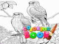 Spiel Malbuch für Erwachsene  Online