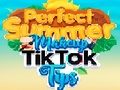 Spiel Perfekte Sommer-Make-up-Tik-Tok-Tipps  Online
