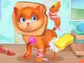 Spiel Nette Haustierarztpflege  Online