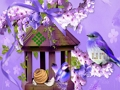 Spiel Wunderbare Kolibri-Landflucht  Online