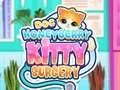 Spiel Doc HoneyBerry Kitty Chirurgie  Online