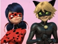 Spiel Wunderbarer Marienkäfer & Cat Noir Puzzle  Online