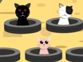 Spiel Katzen fangen  Online