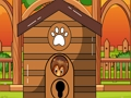 Spiel Flucht des Berner Sennenhundes  Online