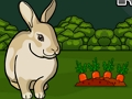 Spiel Rette das graue Kaninchen  Online