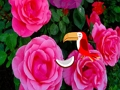 Spiel Kostbare Rosenflucht  Online