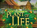 Spiel Pflanze des Lebens  Online