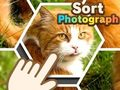 Spiel Foto sortieren  Online