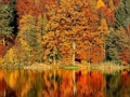 Spiel Schiebepuzzle  Online