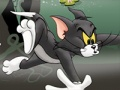 Spiel Tom und Jerry Chase in Marsh  Online