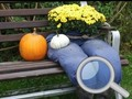 Spiel Herbstgarten Finden Sie 100 Schmetterlinge  Online
