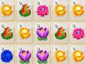 Spiel Blumenverschmelzung  Online