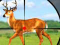 Spiel Wild Hunt Jagdspiele 3D  Online