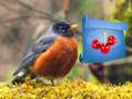 Spiel Abenteuer im Pilzwald  Online
