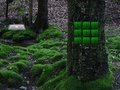 Spiel Flucht der gefangenen Liebestaube  Online