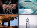 Spiel Wortbild-Guesser  Online