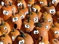 Spiel Halloween-Puzzle  Online