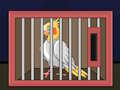 Spiel Lassen Sie den Nymphensittich-Vogel frei  Online