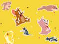 Spiel Die Tom und Jerry Show Finden Sie es!  Online