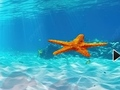 Spiel Entfliehen Sie dem Unterwasserseestern  Online