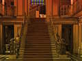 Spiel Hundeausweg  Online