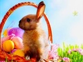 Spiel Versteckte Sterne zur Osterzeit  Online