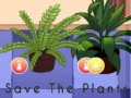 Spiel Rette die Pflanzen  Online