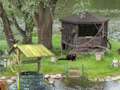 Spiel Mystery Lake Flucht Online