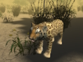 Spiel Afrikanischer Geparden-Jagdsimulator  Online