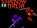 Spiel Schatten des Ninja  Online