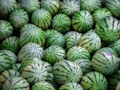 Spiel Wassermelonen-Puzzle  Online