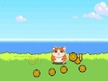 Spiel Hamster-Kombat-Clicker  Online