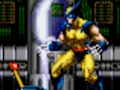 Spiel Wolverine – Adamantium Rage  Online