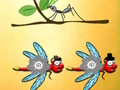 Spiel Finden Sie Dragonfly Cooper  Online