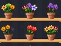Spiel Guter Blumenmeister  Online